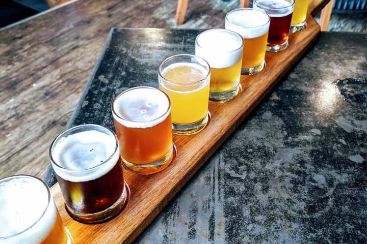 flight of eight different colored beers
