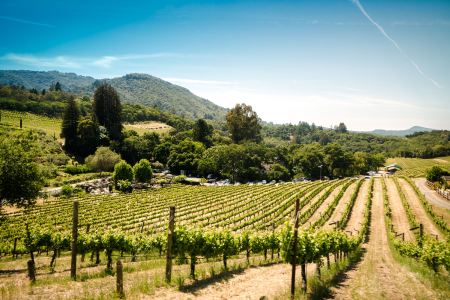 wine tours of napa and sonoma valley