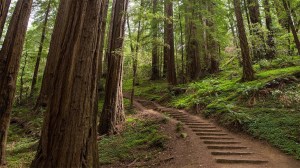 An epic outdoor adventure around San Francisco