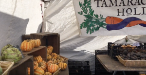 Explore outdoor food markets around NYC
