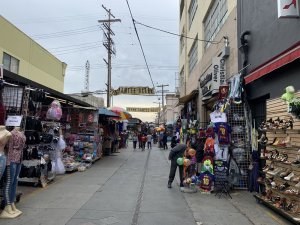 The LA Fashion District