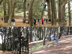 A ropes and obstacle course in the forest