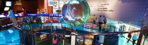 great hall of the disney museum