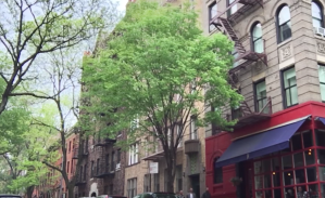 a tall building with an overhand and a large green tree in the front