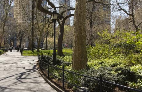 a large park in the city with lots of trees and greenary