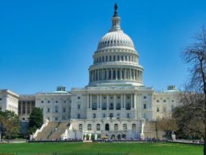 a large lawn in front of United States Capitol