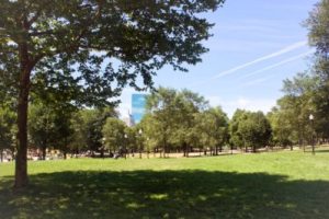 the view at Boston Common
