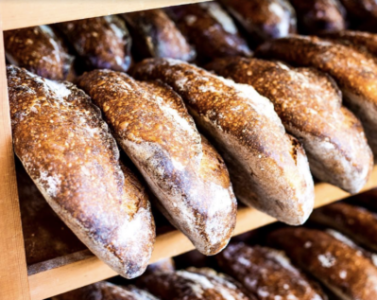 a shot of baguettes lined up in a bakery