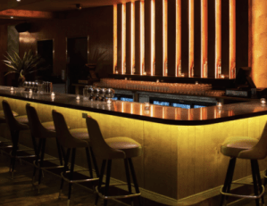 the bar at a speakeasy with moody lighting, pointy plants, and a row of chairs
