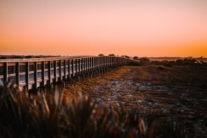 Wooden Footbridge over River Marsh Land