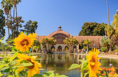 Museum at Balboa Park in San Diego entrance with sunflowers