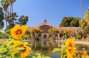 Museum at Balboa Park in San Diego entrance with sunflowers