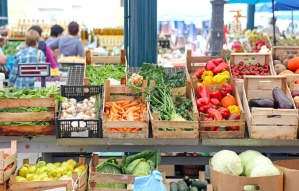 a store filled with lots of fresh produce