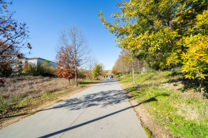 a walking path nature trail in Atlanta