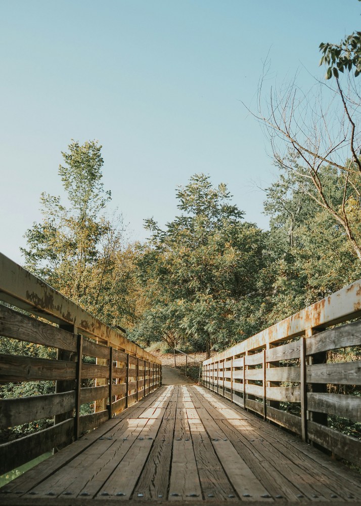 a train on a train track with trees in the background