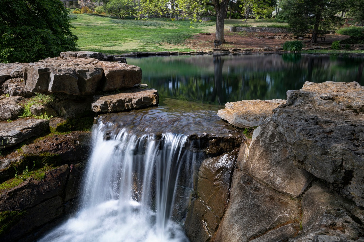 Water Garden at Cheekwood Estate and Gardens, Nashville, Tennessee, USA