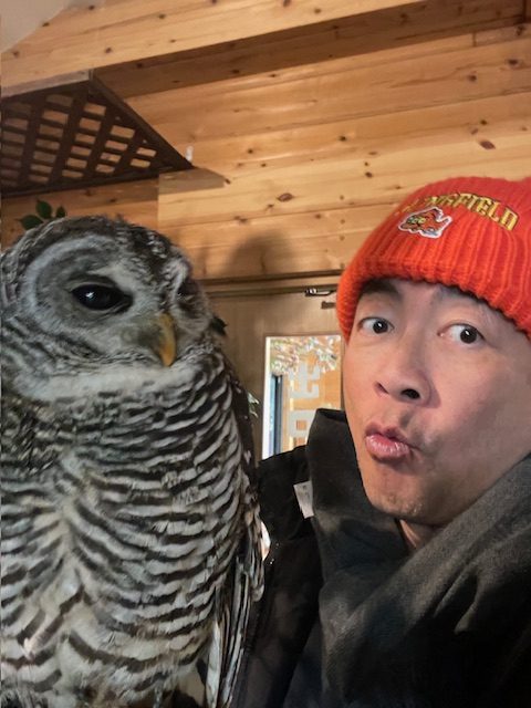 an owl wearing a hat